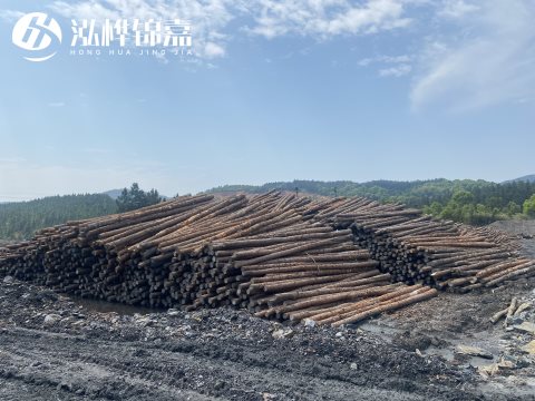 河道打樁為什么選擇松木樁來處理軟地基？-松木樁施工使用范圍